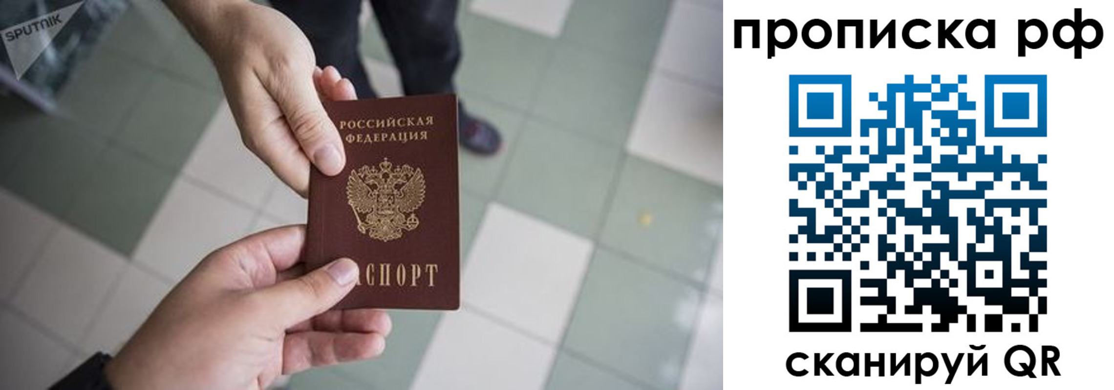 прописка гарантия в Боровичах